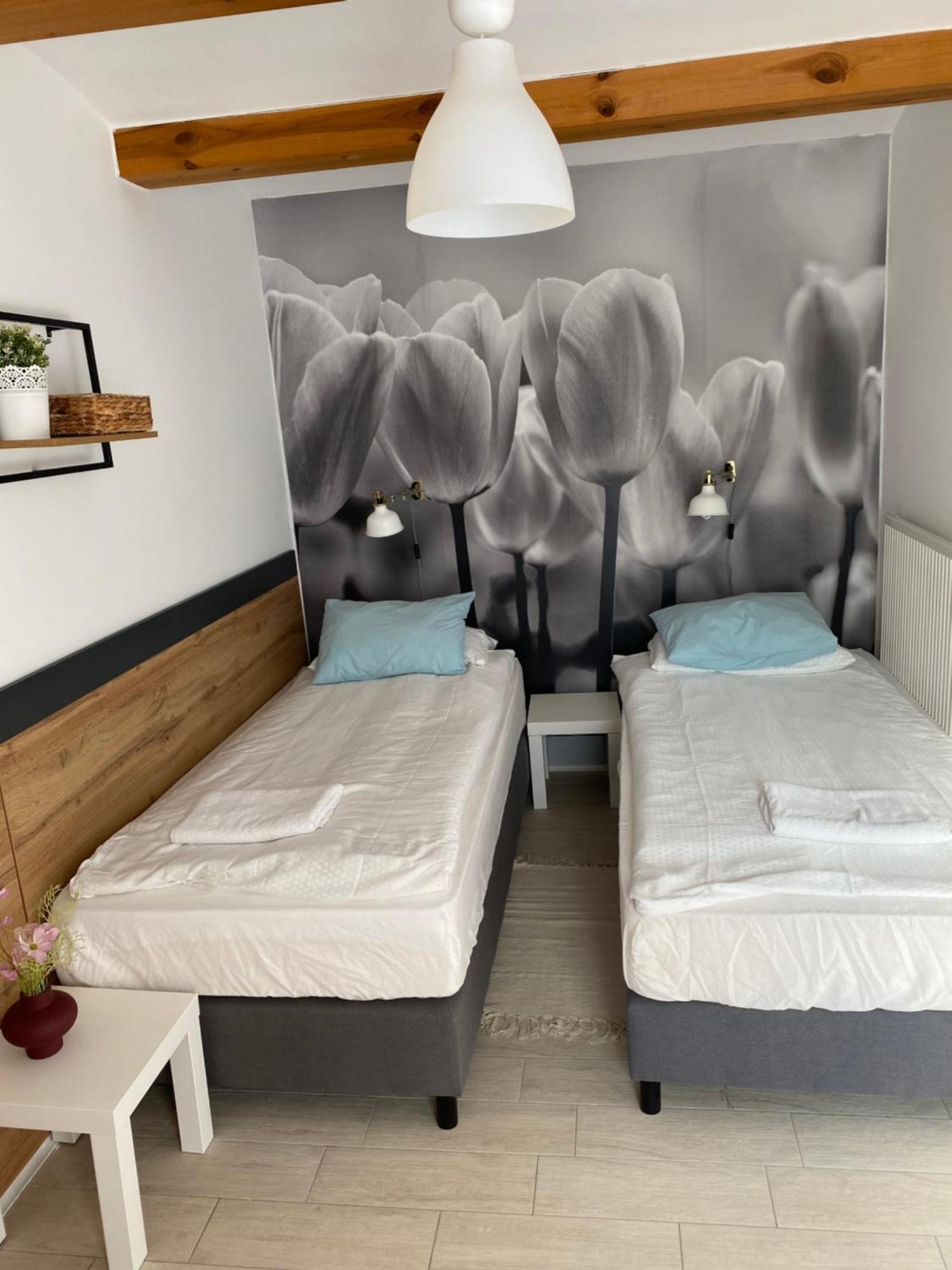 Levendula Apartmanhaz Apartment Badacsonytomaj